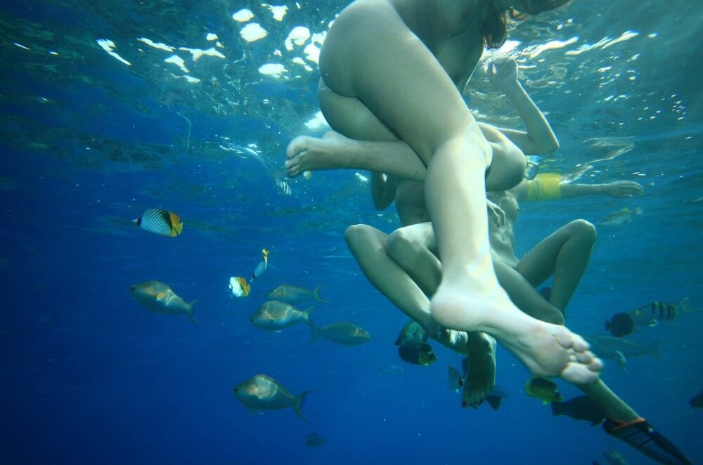 Egyptian Snorkelers Part - A naked person is asexual among nudists