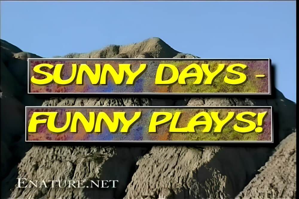 Enature - Sunny Days – Funny Plays - Nudity in naturism is a way to experience freedom and harmony