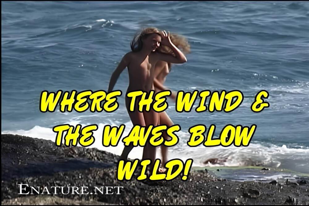 Enature - Where the Wind and the Waves Blow Wild! - We have no objection to the phenomenon itself