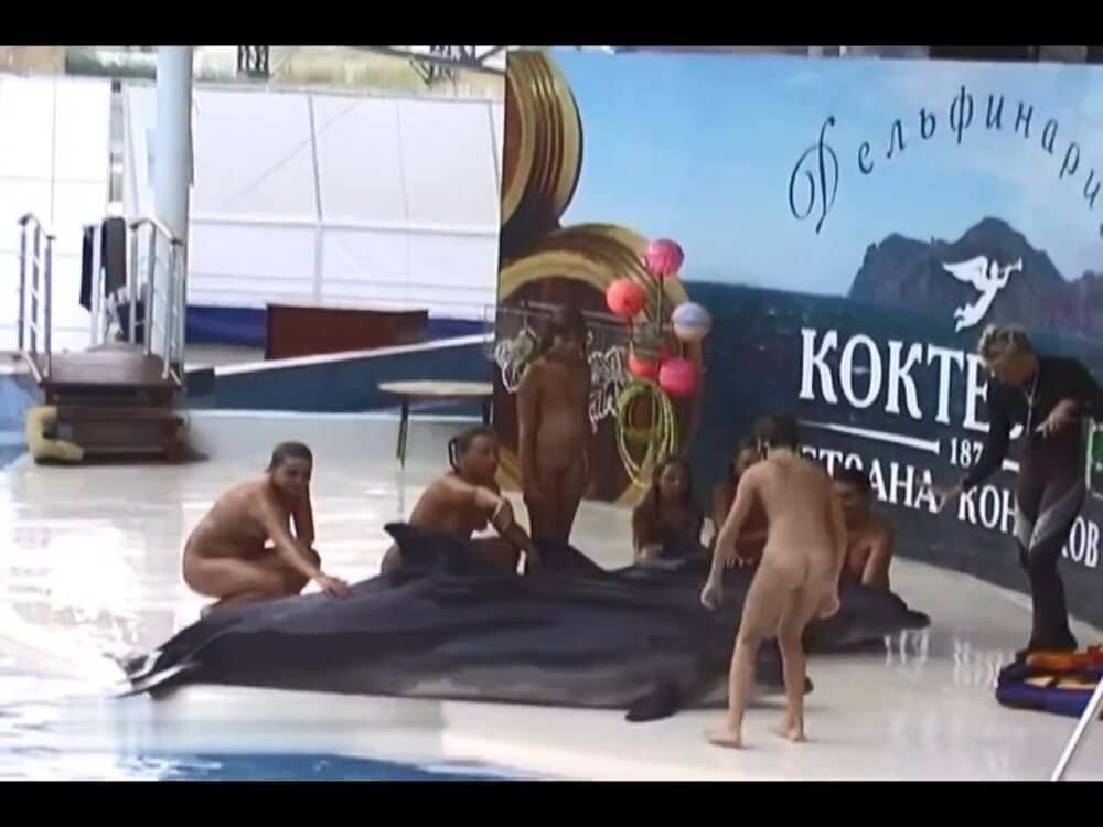 Relaxing at the dolphinarium - A life free of unnecessary worries is a hallmark of naturism